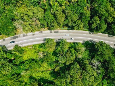 Tech Innovation Drives Industrial Decarbonization: NEWTEK Group's CCUS Soluti...